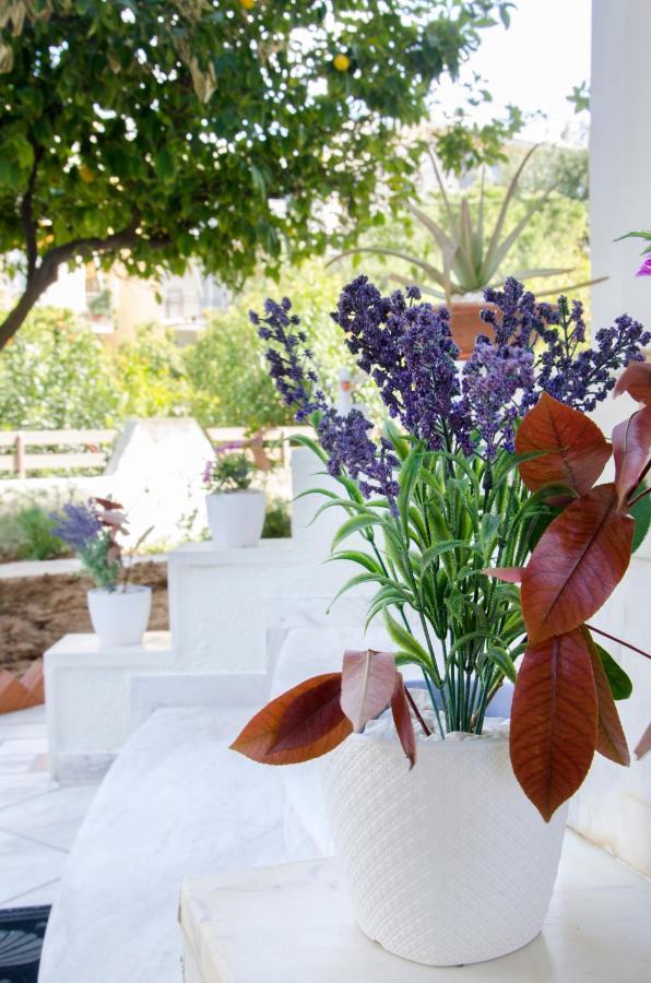 Garden House Palaio Faliro Athen Eksteriør billede