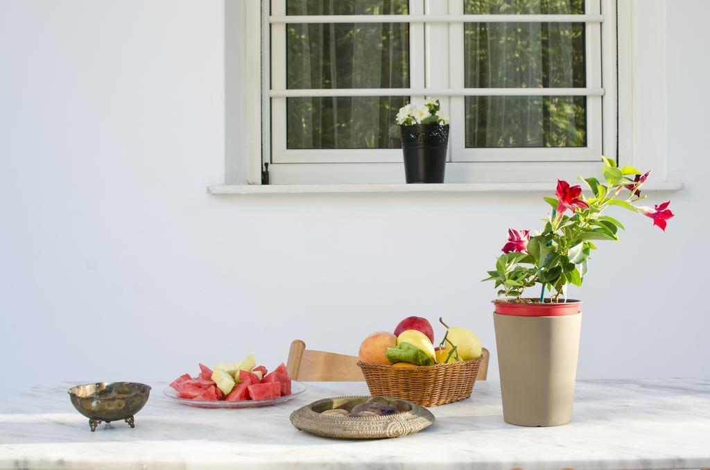 Garden House Palaio Faliro Athen Eksteriør billede